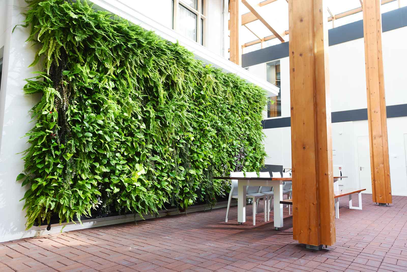 Promoten uitglijden Lenen Een plantenwand voor binnen: de gezonde keuze voor elk gebouw