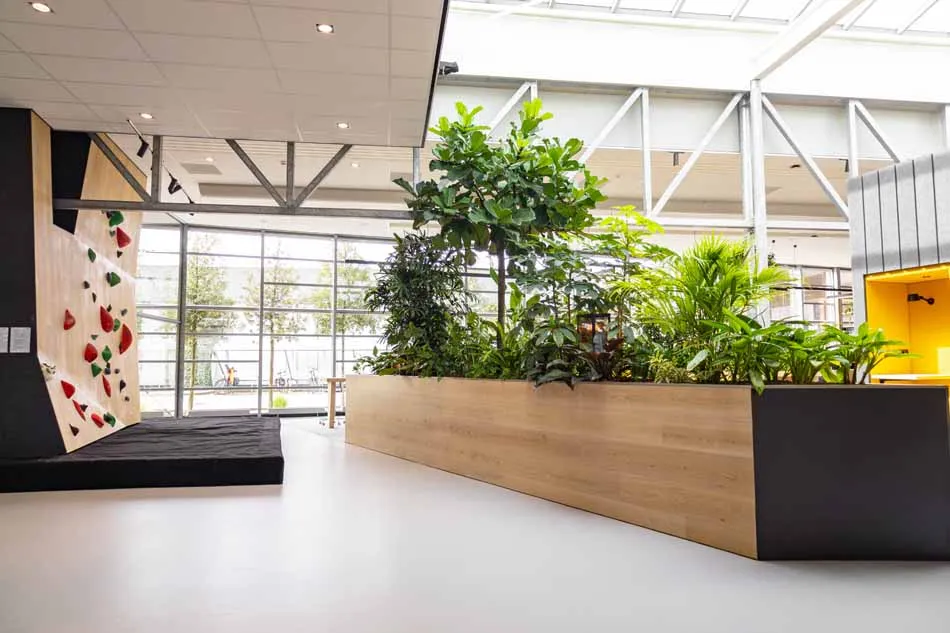 EN-Nedap-Groenlo-Interior-Landscaping-10.webp