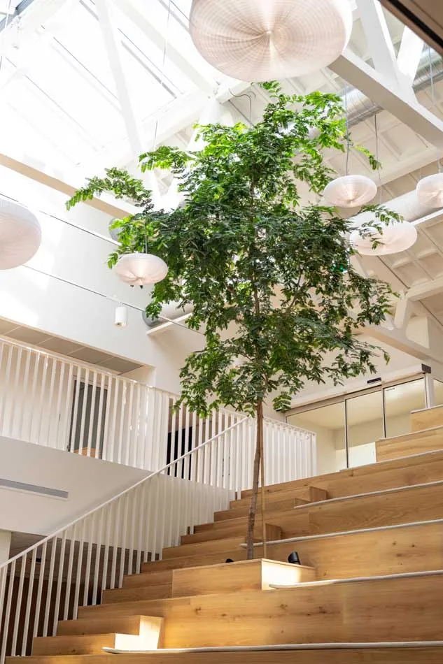 EN-Nedap-Groenlo-Tree.webp