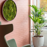 Interior Landscaping inspiration at Viverion