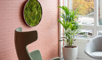 Interior Landscaping inspiration at Viverion