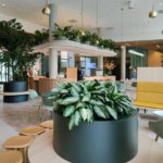 Beplanting in nieuwe afdeling ziekenhuis UMCG