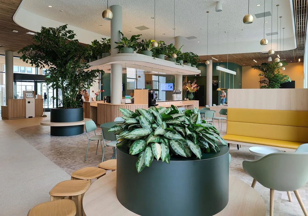 A green oasis of calm and inspiration at UMC Groningen