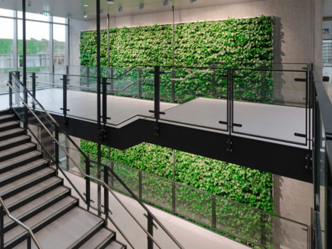 Levende Natural Greenwalls plantenwand te zien tussen twee verdiepingen in een gebouw