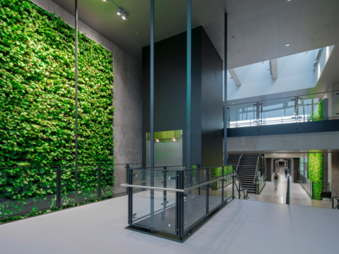 Diverse plantenwanden in modern gebouw