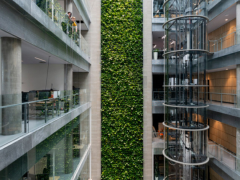 Verticale plantenwand meerdere verdiepingen hoog in een modern kantoorgebouw