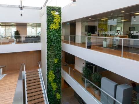 Verticale plantenwand met diverse plantsoorten in een groot gebouw