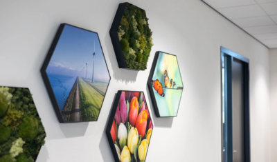 Hexagons met visuals erin in combinatie met mos hexagons aan de muur in een kantoor