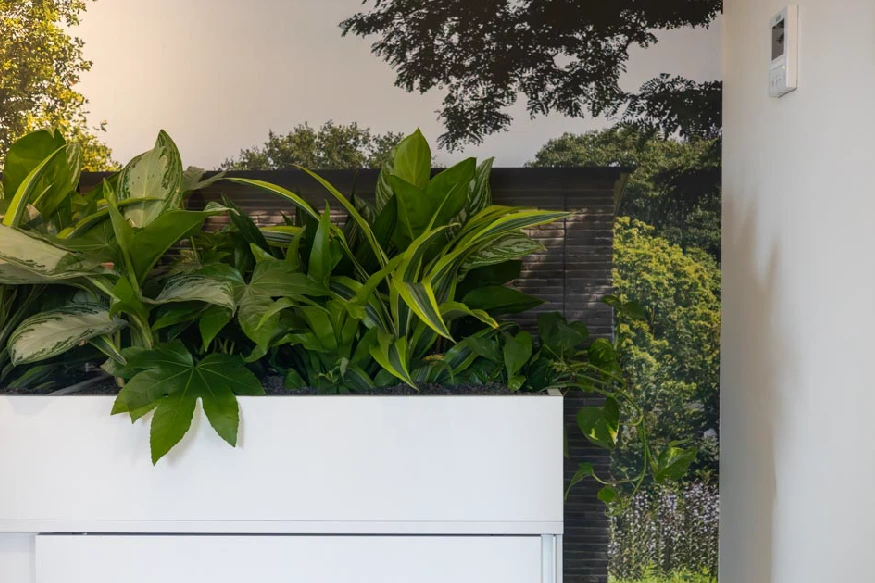 Wall-visual-office-plants-urban-jungle-Nikkels.webp