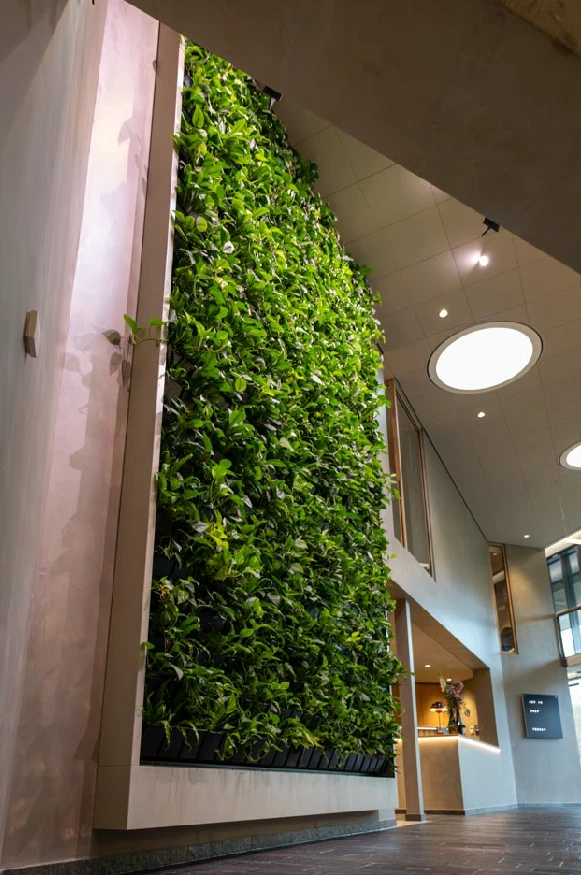 natural-greenwall-nikkels-1.webp.webp