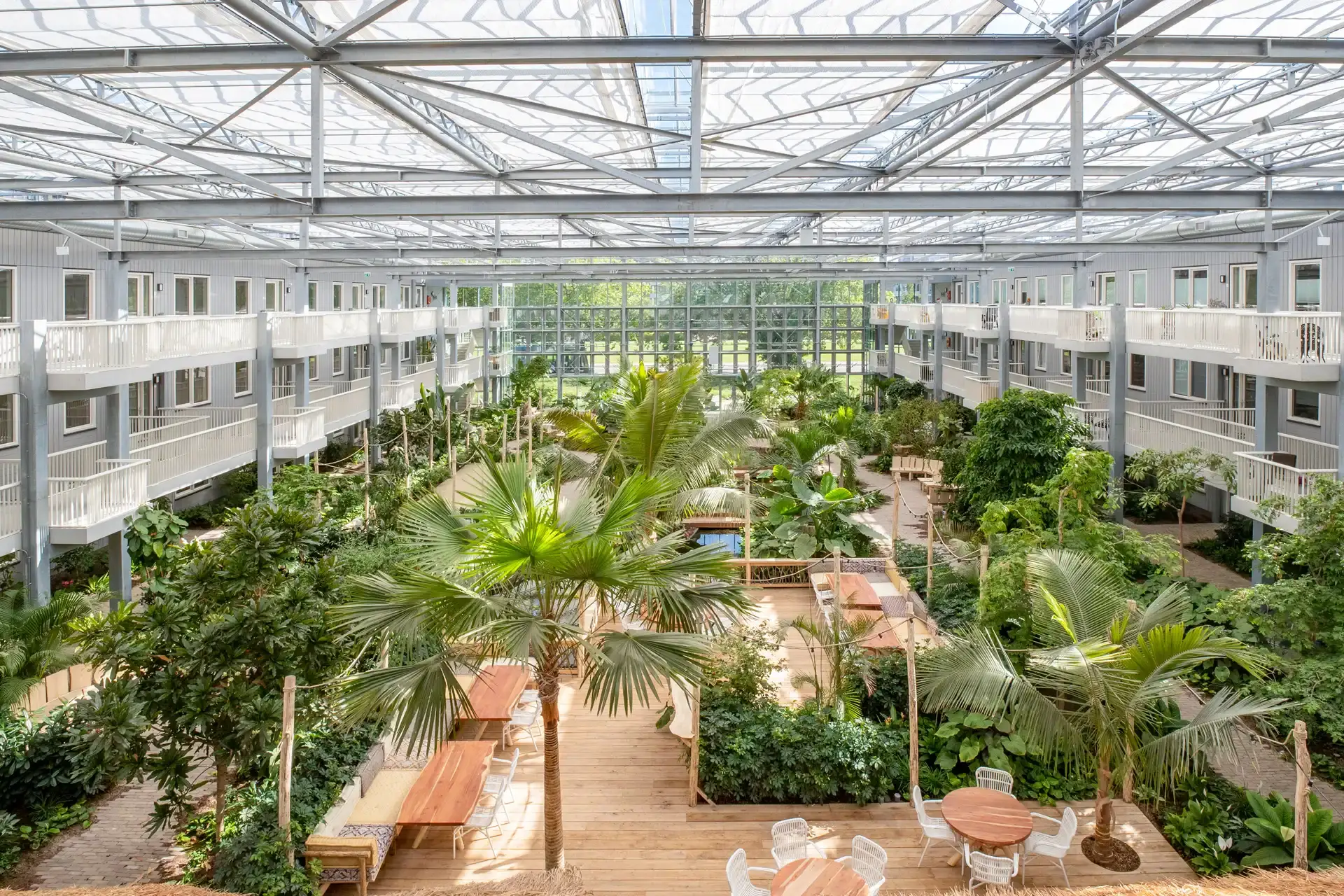 Kantoor met biophilic elementen